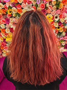 Hair Color Before